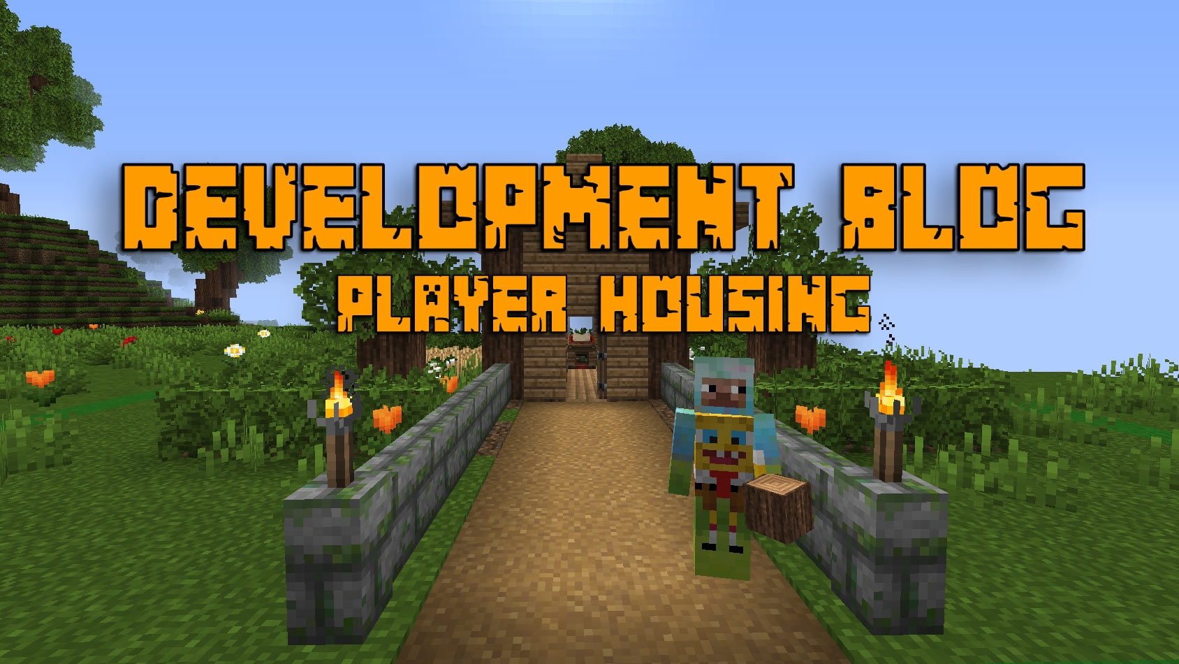 Portable Player Housing